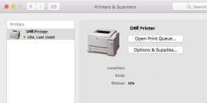 Dell Printer Offline